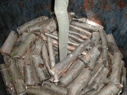 Fabrication du charbon de bois par Claude Schosseler : photo 7