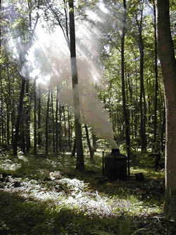 Fabrication du charbon de bois par Claude Schosseler : photo 19
