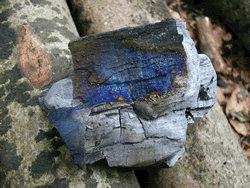 Fabrication du charbon de bois par Claude Schosseler : photo 35
