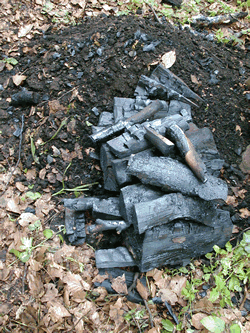 Fabrication du charbon de bois par Claude Schosseler : photo 38
