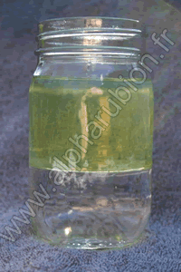 Bocal contenant de l’eau au fond et de l’essence au-dessus